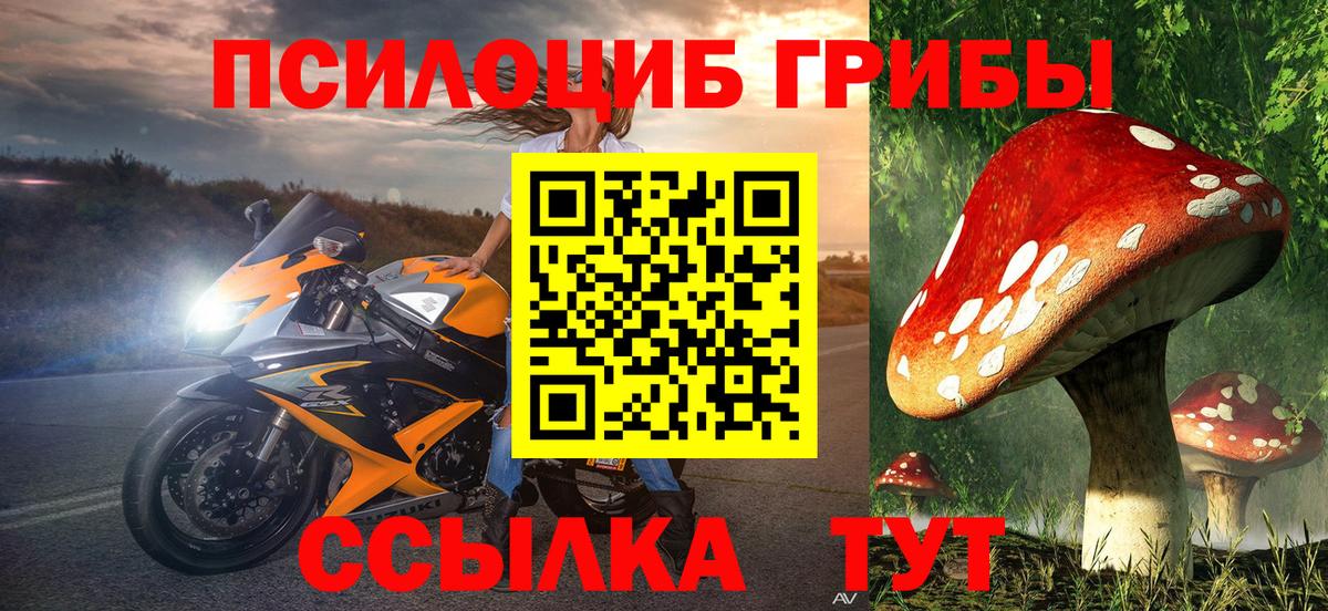 Нарьян-Мар  Галлюциногенные грибы Psilocybe  Вход с VPN 