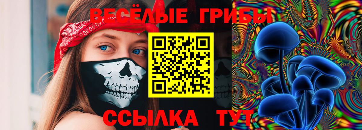 Галлюциногенные грибы GOLDEN TEACHER Нарьян-Мар